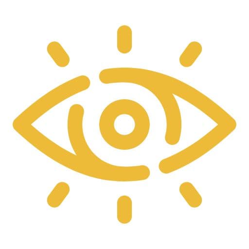 Our Vision